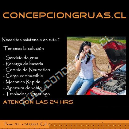 Concepcion Gruas