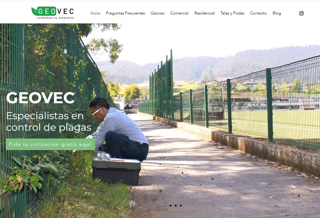 Geovectores